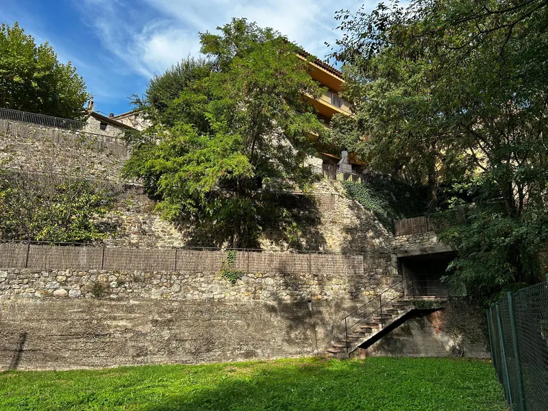 Garden lawn and stone wall with trees