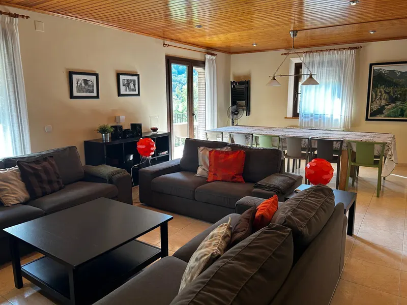 Living room sofas with the dining area behind