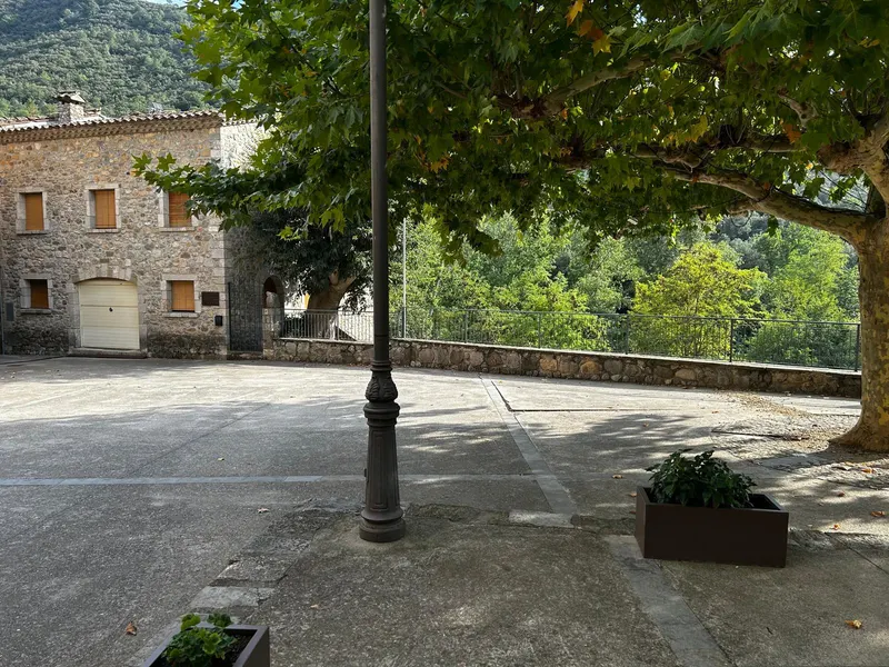 La place d’Albanyà à l’ombre d’un platane, avec la maison au fond